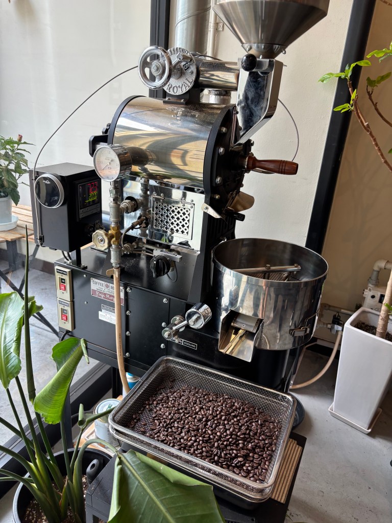 A coffee roasting machine with a tray of roasted coffee beans and decorative plants in a modern cafe setting.